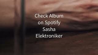 Sasha Elektroniker feat Ann Polyamory - Lovers