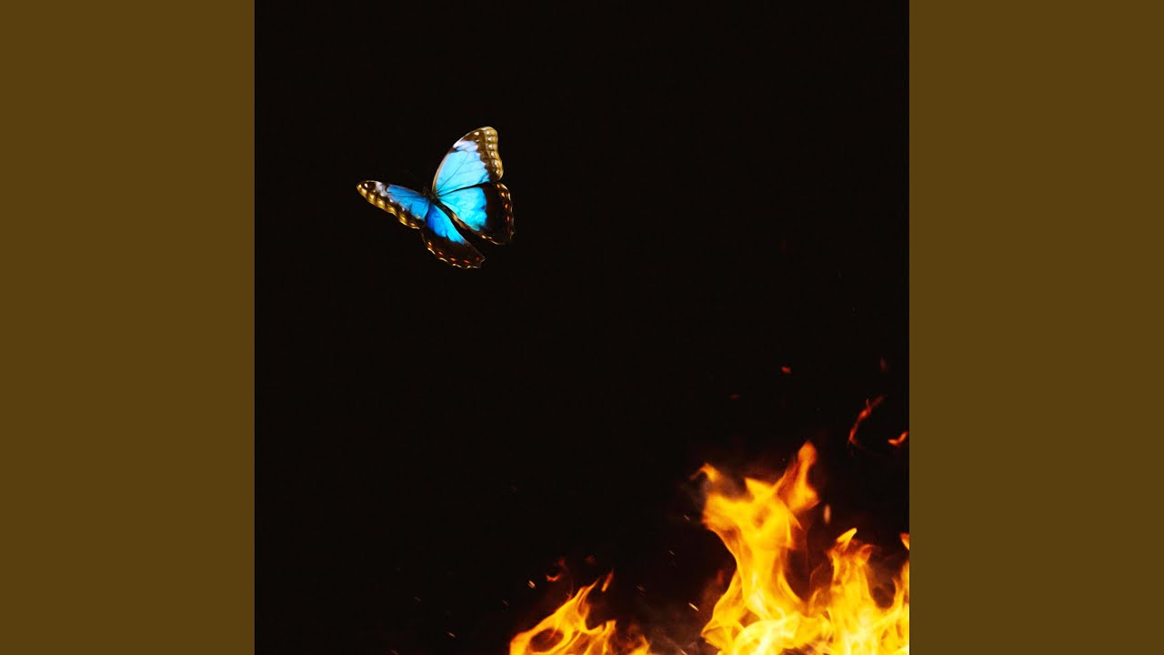 YouTube에서 MOTH. & . RUST. 보기 YouTube에서 MOTH. & . RUST. 보기