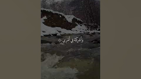 القارئ شريف مصطفى - ﴿ قَالَ رَبِّ اشْرَحْ لِي صَدْرِي ﴾ 🌿