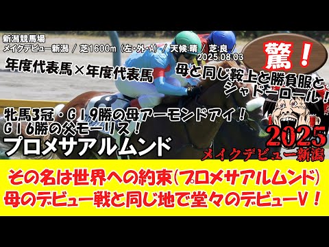 競馬】 驚き！ メイクデビュー新潟 (2025.08.03・新潟4R) 2025 / プロ