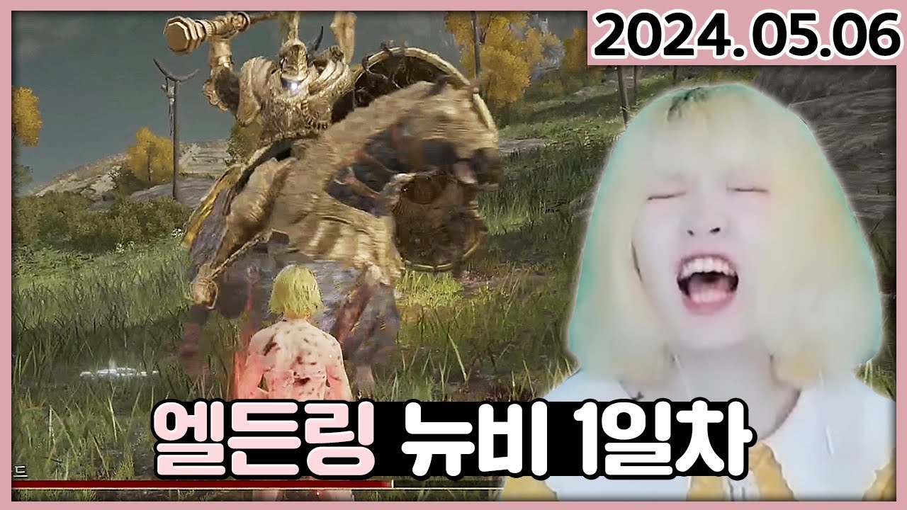 빈털터리로 시작한 소울류 뉴비 (트리 가드, 환수의 파수견, 멀기트까지) [엘든링]