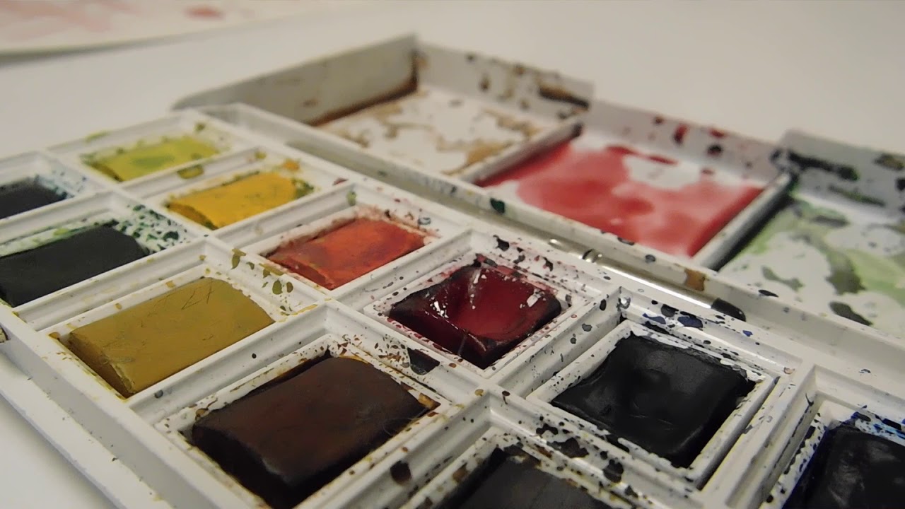 Winsor & Newton Cotman brush review and demo || sarahrosepgh