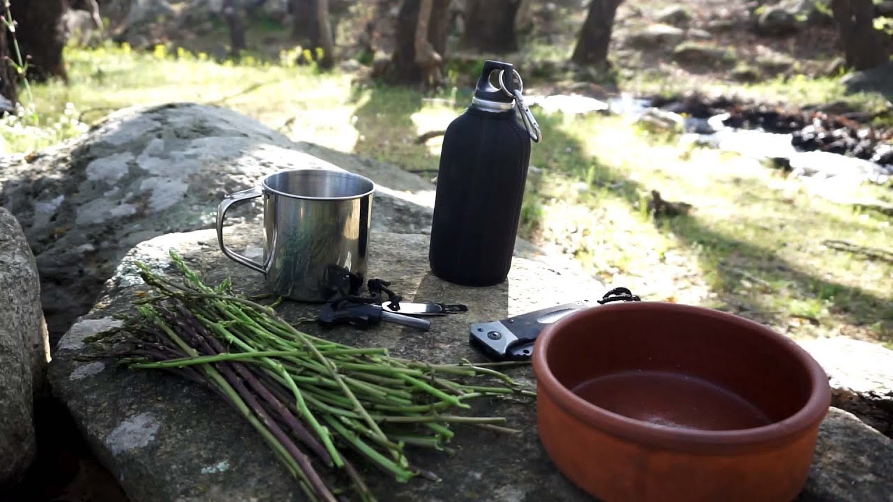 αγρια σπαραγγια τροφη στο δασος