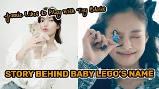 Story Behind Baby Lego’s Name | Jennie Likes to Play with Toy Blocks 🤫