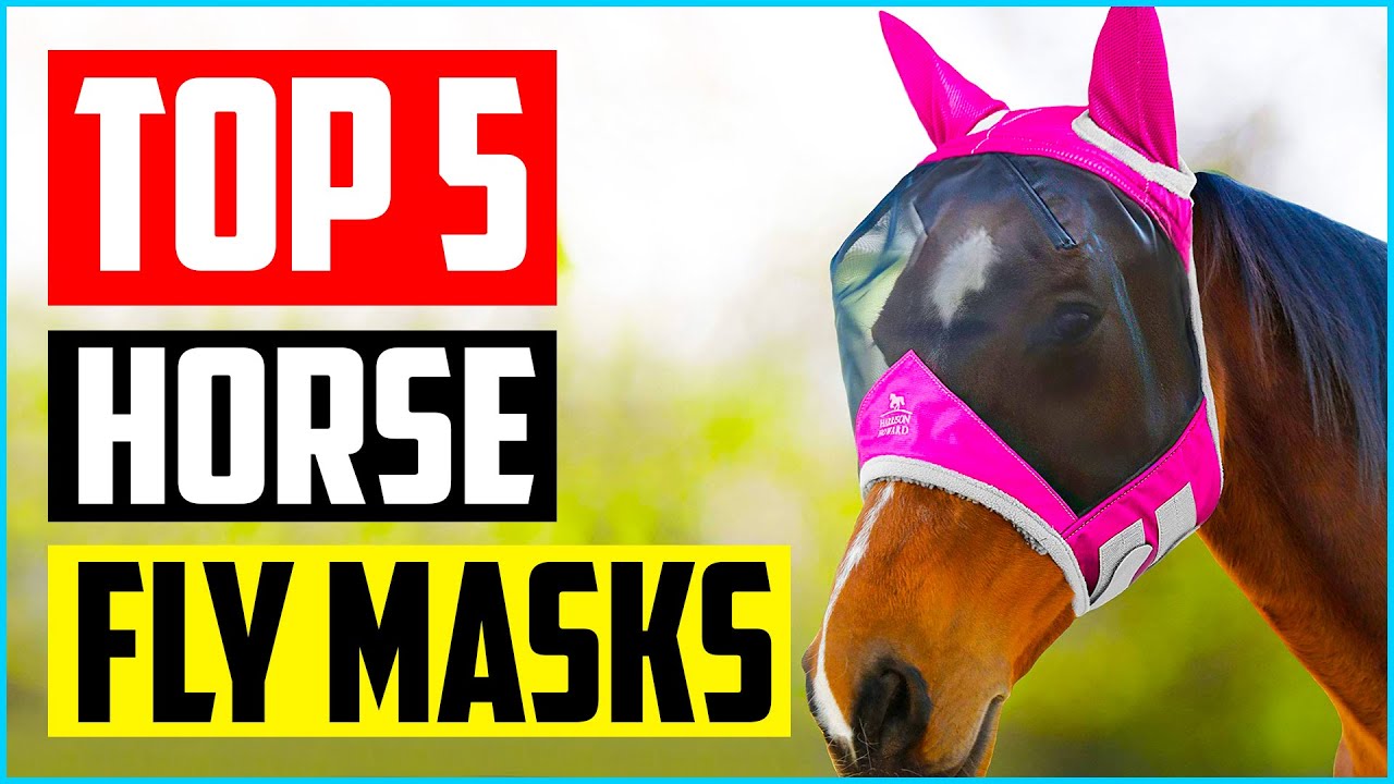 Top 5 Best Horse Fly Masks in 2022 Reviews YouTube