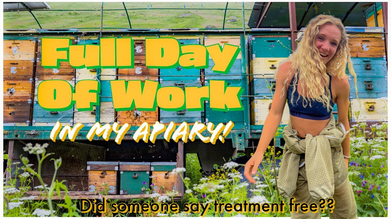 I'm EXPANDING My Apiary! Treatment free thoughts / Beekeeping 101 