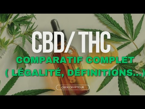 CBD vs THC : Quelles sont les différences ? Effets, Utilisations et Législation 🌿