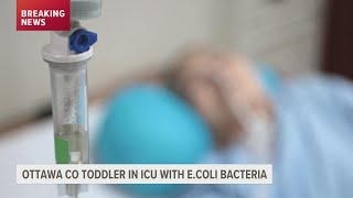 Michigan Health Officials Urge Food Safety After Increase In E. Coli Symptoms In Kent, Ottawa Counti