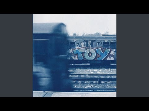 Toy