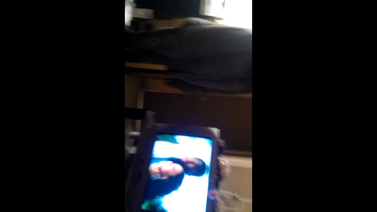 Bushwick projects,,joel the singer videos for memo