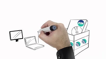 PERFION - IT Manager