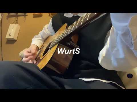WurtS 『分かってないよ』弾き語り