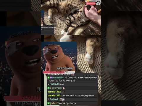котеки | #carlbraun o #Twitch