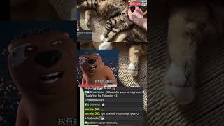котеки | #carlbraun o #Twitch