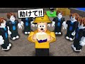 初心者が1分で悪魔の実を手に入れる方法を紹介します... 【ロブロックス/ROBLOX/ブロックスフルーツ】