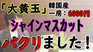 韓国、開き直って堂々とパクリ。「そういう発想自体が人間性を疑うというか常識外れ。非常に腹立たしい」（日本のぶどう果樹園さん談）｜KAZUYA CHANNEL GX