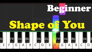 Easy Piano for Beginners