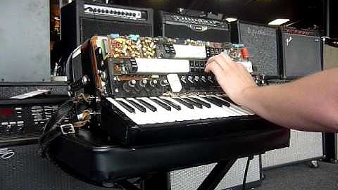 Iorio Accorgan Syn-Cordian F Series S-3.MOV