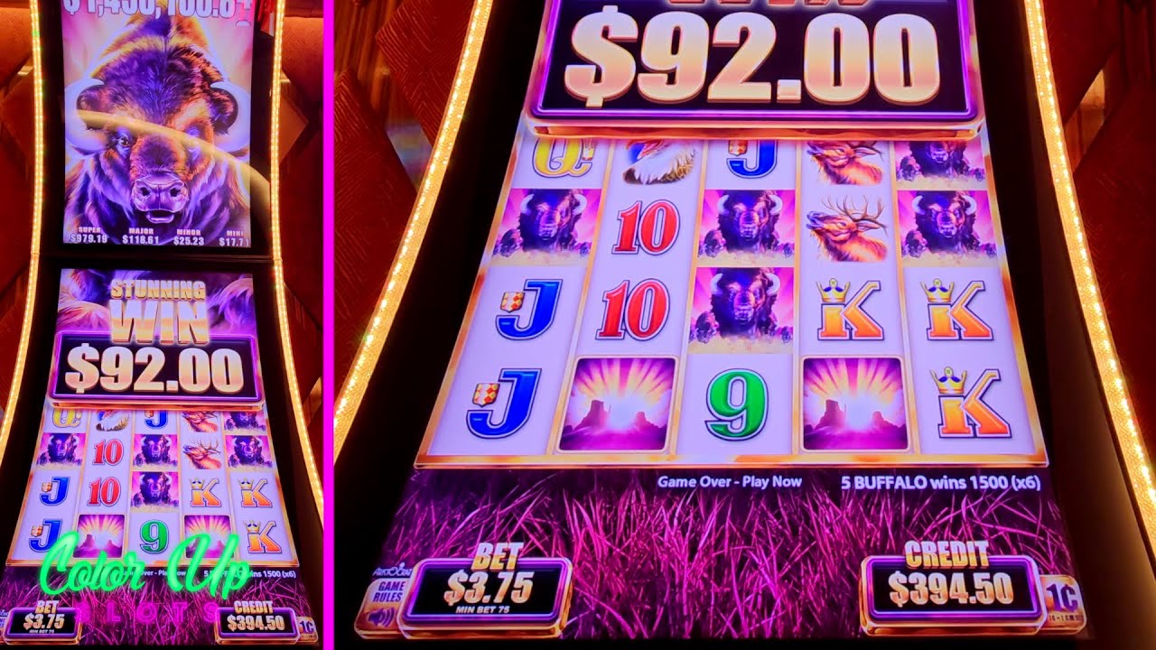 🎰 Stunning Buffalo Slot Win YouTube