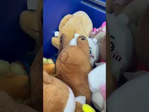 soft toys premium quality Korea kharide kilo ke bhav #surplus #wholesale #market WhatsApp 7877663200