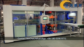 30 eggs plastic tray thermoforming machine