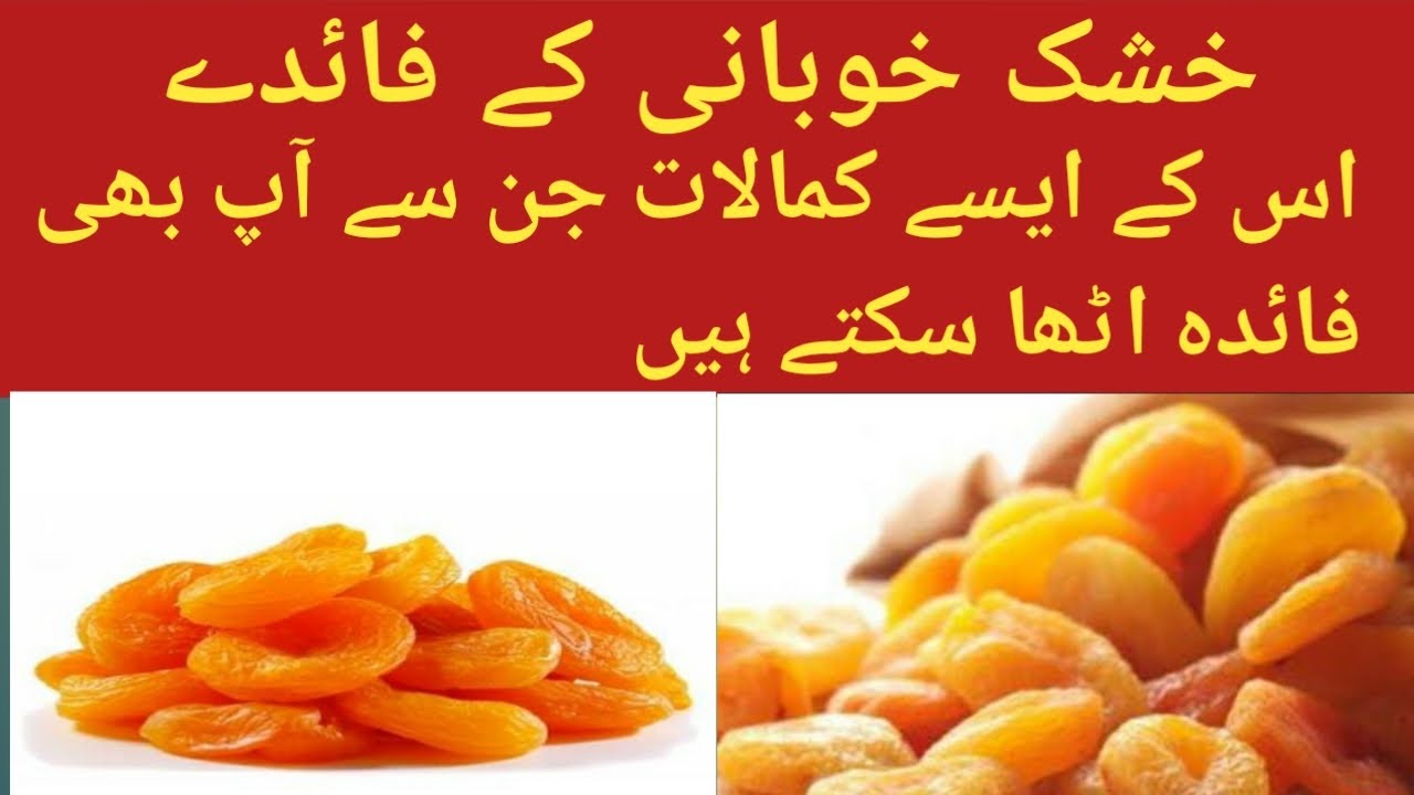 Khusk khubani k faideydried apricot benefits YouTube