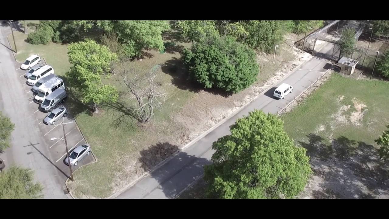 Country C.  x.  Lock Down (Official Video)