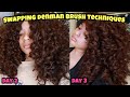 HOW TO USE THE DENMAN BRUSH FOR BIG FLUFFY CURLY HAIR | Swapping Techniques (2c/3a/3b curls)