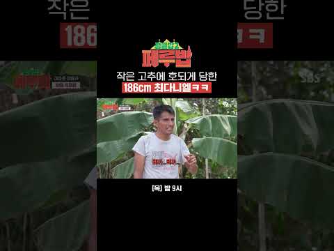 : 최다니엘 씨,,삐까삐까라고 했잖아용,, 세계에서 <strong>제일</strong> <strong>매운</strong> <strong>고추</strong> 한입에 털어 넣음🔥 | 페루밥 | SBS