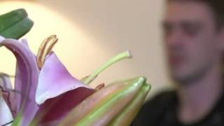 Медитация -- в помощь ветеранам войны screenshot 5