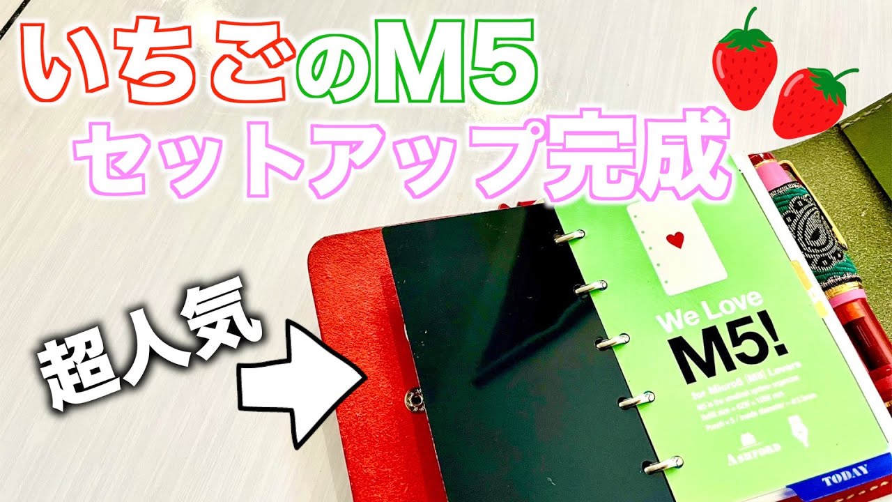 いちごの手帳 SUB×MISSION M5 ヌメ革 Micro5 システム手帳 【システム  