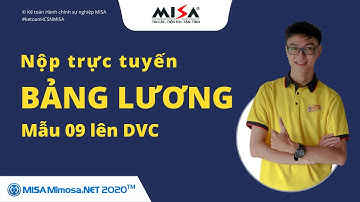 Nộp trực tuyến Bảng lương Mẫu số 09 lên trang DVC | MISA MIMOSA.NET
