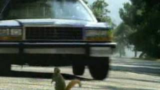 geico  Commercials
