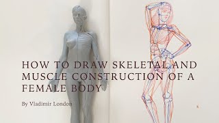 How to Draw Skeletal and Muscle Construction of a Female Body