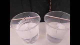 Four ways to grow your own NaCl-crystals!
