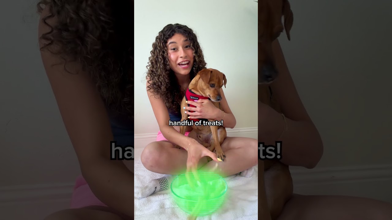 Subscribe = Dog Treat! 🐶🦴