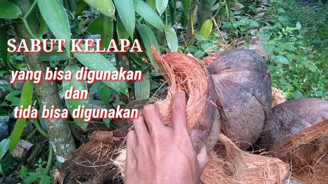 SABUT KELAPA YANG BISA DIGUNAKAN UNTUK METAN VANILI