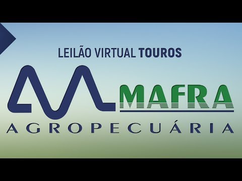 Lote 60   4112 MAFRA   MFRA 4112   5277 FIV MAFRA   5277