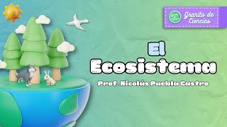 Sabes De Qué Se Compone Un Ecosistema?