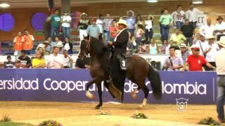 Onaxis De Villa Cielo, Trocha Colombiana Ix Copa De Los Santanderes Bucaramanga Grado A 2016