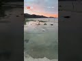 📄🚯 Denuncian grave acumulación de basura en la bahía de Navachiste y exigen limpieza urgente ♻️
