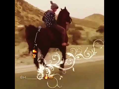 دمعاتي ملو الوديان 