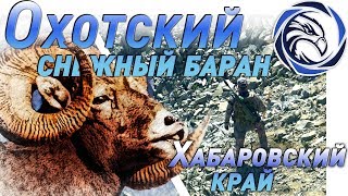 Mountain Hunt for the Okhotsk Snow Sheep_film_1. Film One