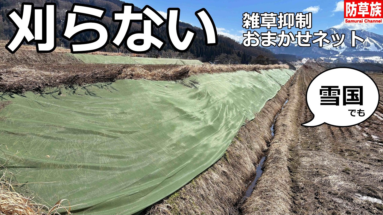 草刈り不要！畦畔が崩れない「雑草抑制おまかせネット」が最強だった