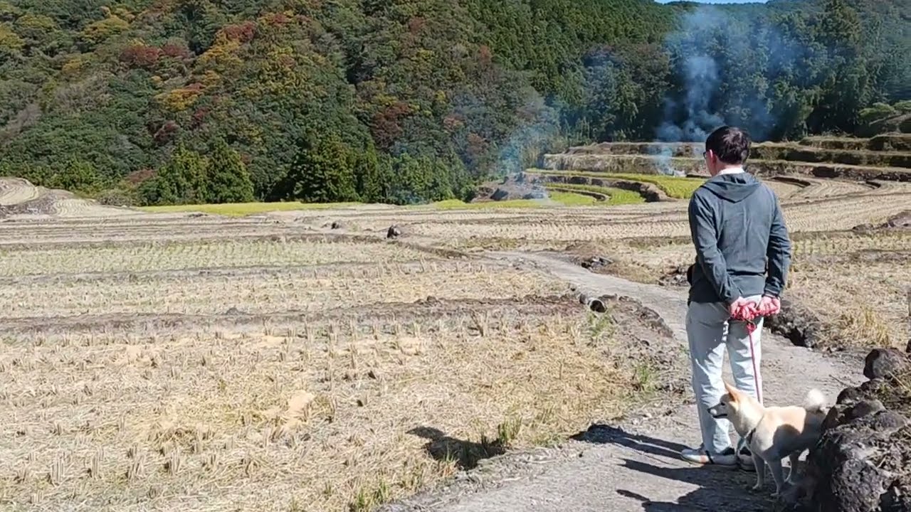 国東半島　棚田に来ました。2023年10月29日