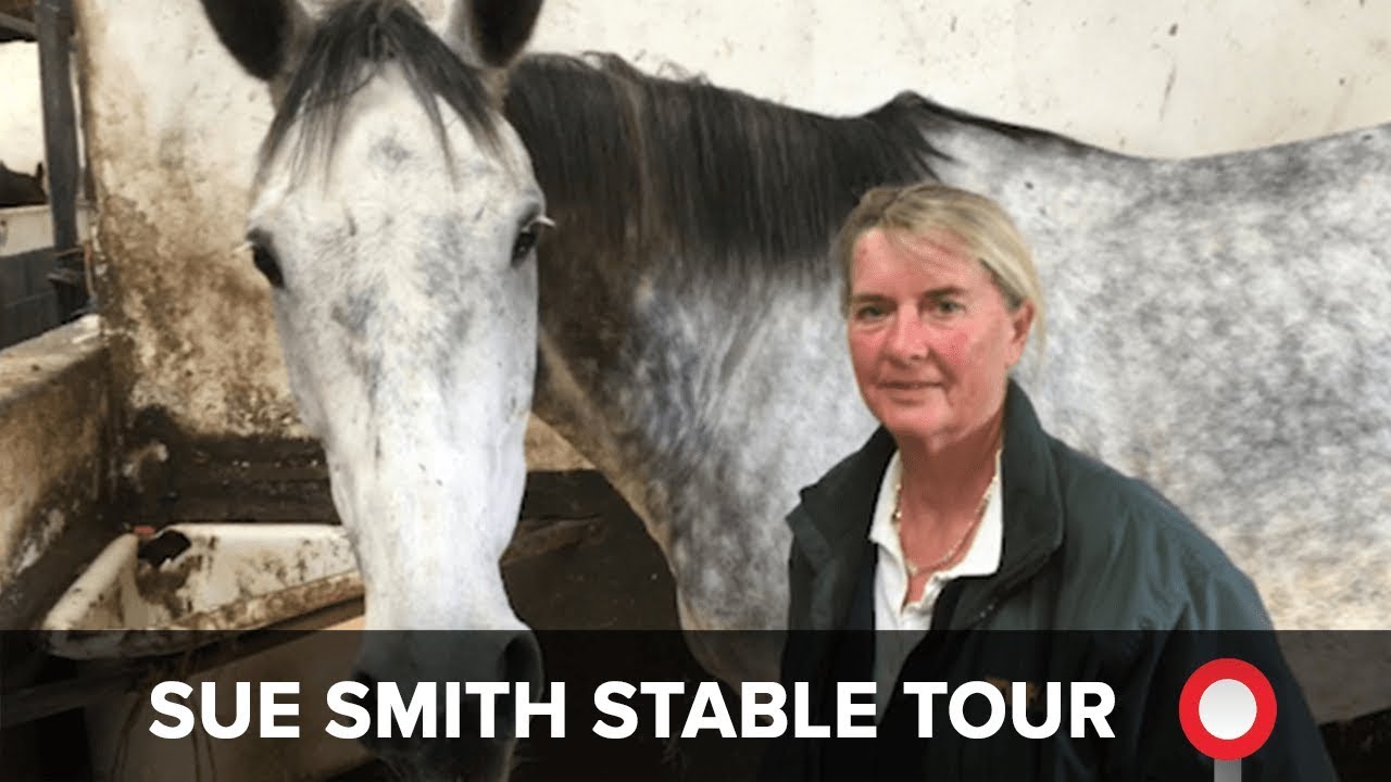 sue smith stable tour