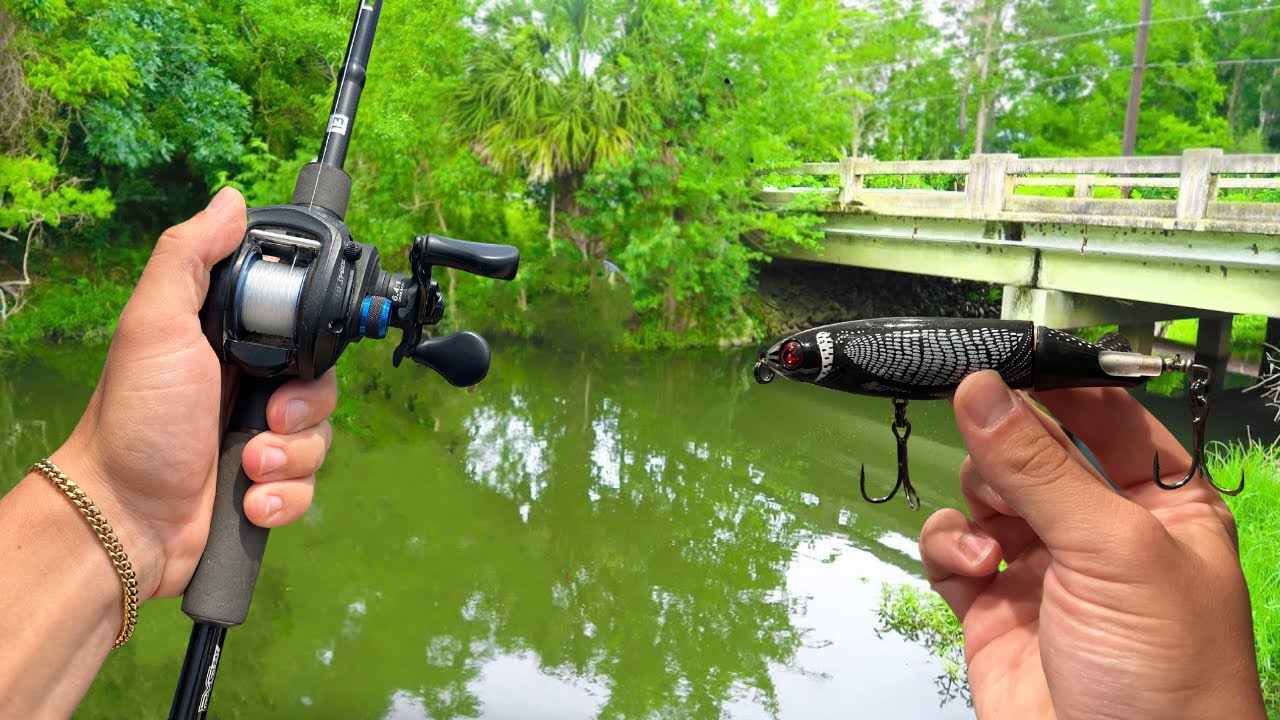 This TINY Canal was FULL of Big Fish! (Summer Bass Fishing)