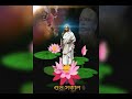 Tumi nirmolo koro Whatsapp Status Video Download Free