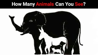 Guess How Many Animals are In Here Photo | Optical Illusion screenshot 1