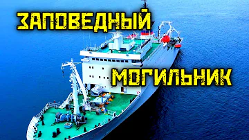 Одно из самых страшных мест на планете. Заповедный могильник. Карское море